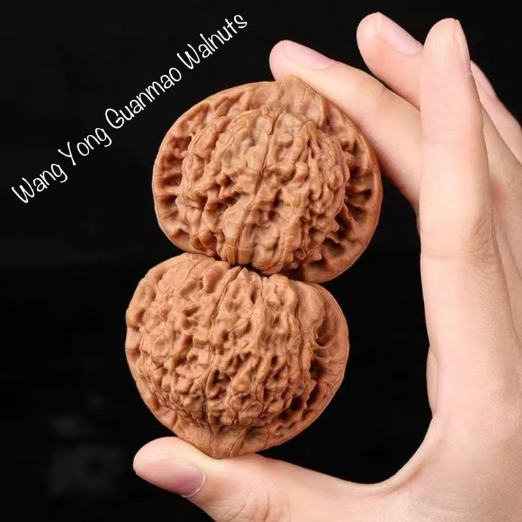 Traditional Wenwan Treasures | Chinese Collectible Handpieces