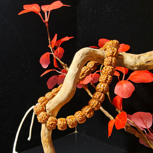 Temple-Inspired Rudraksha Mala Bracelet | Handcrafted for Mindfulness & Inner Peace, 10.5–11mm Beads, 27 Beads