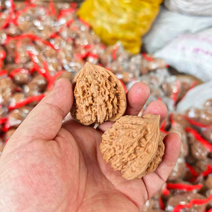 Wang Yong Guanmao Hand-Turning Walnuts (43–47mm) | Mindful Stress Relief Pair