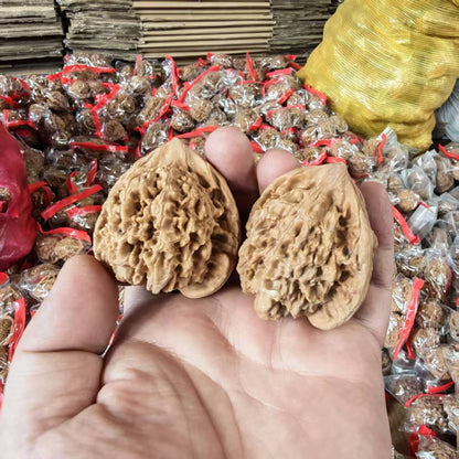 Wang Yong Guanmao Hand-Turning Walnuts (43–47mm) | Mindful Stress Relief Pair