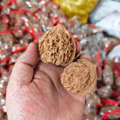 Wang Yong Guanmao Hand-Turning Walnuts (43–47mm) | Mindful Stress Relief Pair