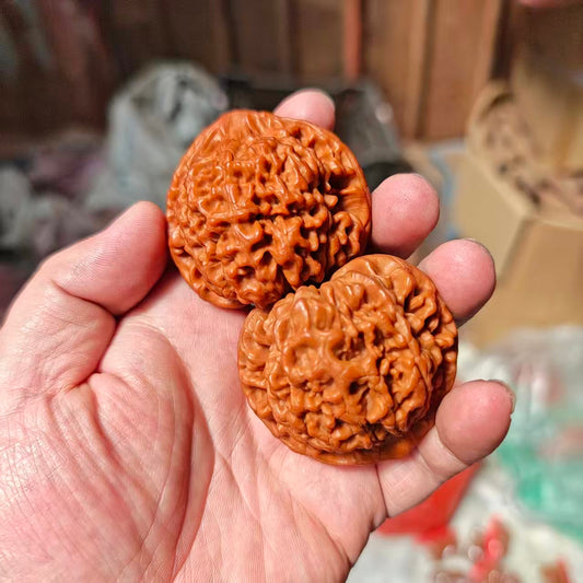High-Polished Wang Yong Guanmao Hand-Turning Walnuts (40–46mm) | Mindful Stress Relief Pair