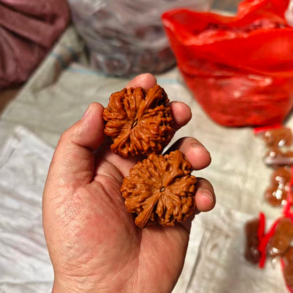 High-Polished Wang Yong Guanmao Hand-Turning Walnuts (40–46mm) | Mindful Stress Relief Pair